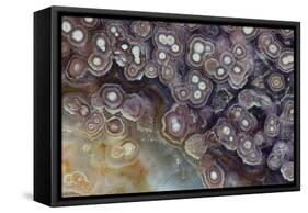 Luna Agate, Mexico-Darrell Gulin-Framed Stretched Canvas