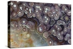 Luna Agate, Mexico-Darrell Gulin-Stretched Canvas