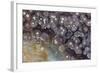 Luna Agate, Mexico-Darrell Gulin-Framed Photographic Print