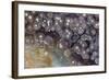 Luna Agate, Mexico-Darrell Gulin-Framed Photographic Print