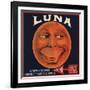 Luna Brand - Los Angeles, California - Citrus Crate Label-Lantern Press-Framed Art Print