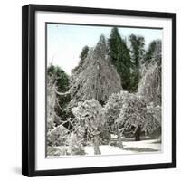 Luna Island (United States), Near the Niagara River, Snow-Covered Forest-Leon, Levy et Fils-Framed Photographic Print
