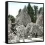 Luna Island (United States), Near the Niagara River, Snow-Covered Forest-Leon, Levy et Fils-Framed Stretched Canvas