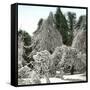 Luna Island (United States), Near the Niagara River, Snow-Covered Forest-Leon, Levy et Fils-Framed Stretched Canvas