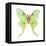 Luna Moth (Actias Luna), Insects-Encyclopaedia Britannica-Framed Stretched Canvas