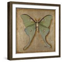 Luna Moth-Patricia Pinto-Framed Art Print