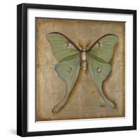 Luna Moth-Patricia Pinto-Framed Art Print