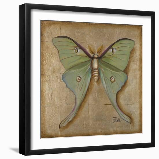 Luna Moth-Patricia Pinto-Framed Art Print