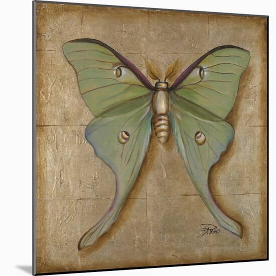 Luna Moth-Patricia Pinto-Mounted Art Print