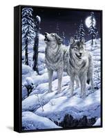 Lunar Calling-Jeff Tift-Framed Stretched Canvas