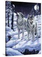 Lunar Calling-Jeff Tift-Stretched Canvas