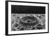 Lunar Crater-null-Framed Art Print