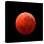 Lunar Eclipse Taken on April 15, 2014-null-Stretched Canvas