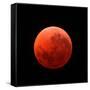 Lunar Eclipse Taken on April 15, 2014-null-Framed Stretched Canvas