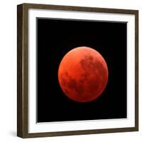 Lunar Eclipse Taken on April 15, 2014-null-Framed Photographic Print