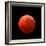 Lunar Eclipse Taken on April 15, 2014-null-Framed Photographic Print