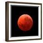 Lunar Eclipse Taken on April 15, 2014-null-Framed Photographic Print