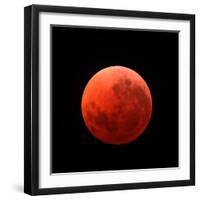 Lunar Eclipse Taken on April 15, 2014-null-Framed Photographic Print