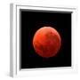 Lunar Eclipse Taken on April 15, 2014-null-Framed Photographic Print