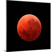 Lunar Eclipse Taken on April 15, 2014-null-Mounted Photographic Print