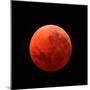 Lunar Eclipse Taken on April 15, 2014-null-Mounted Photographic Print