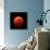 Lunar Eclipse Taken on April 15, 2014-null-Photographic Print displayed on a wall