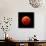 Lunar Eclipse Taken on April 15, 2014-null-Photographic Print displayed on a wall