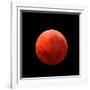 Lunar Eclipse Taken on April 15, 2014-null-Framed Photographic Print