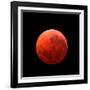 Lunar Eclipse Taken on April 15, 2014-null-Framed Photographic Print