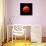 Lunar Eclipse Taken on April 15, 2014-null-Photographic Print displayed on a wall