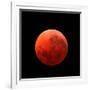 Lunar Eclipse Taken on April 15, 2014-null-Framed Photographic Print