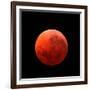 Lunar Eclipse Taken on April 15, 2014-null-Framed Photographic Print