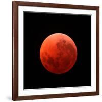 Lunar Eclipse Taken on April 15, 2014-null-Framed Photographic Print