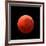 Lunar Eclipse Taken on April 15, 2014-null-Framed Photographic Print