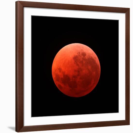 Lunar Eclipse Taken on April 15, 2014-null-Framed Photographic Print