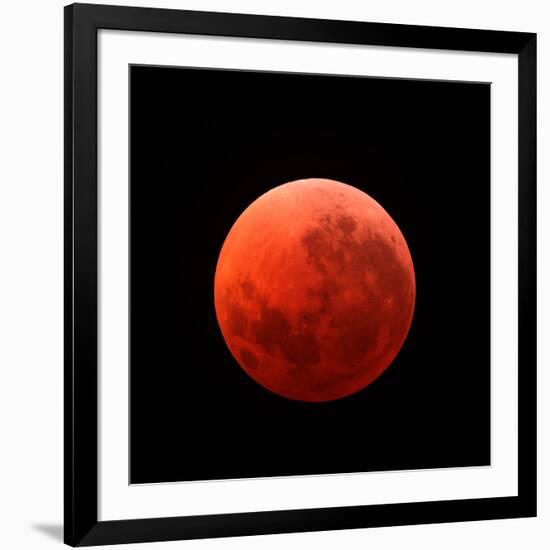 Lunar Eclipse Taken on April 15, 2014-null-Framed Photographic Print