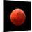 Lunar Eclipse Taken on April 15, 2014-null-Mounted Photographic Print