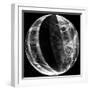 Lunar Eclipse-Stocktrek Images-Framed Photographic Print