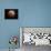 Lunar Eclipse-Stocktrek Images-Framed Stretched Canvas displayed on a wall