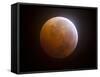 Lunar Eclipse-Stocktrek Images-Framed Stretched Canvas