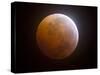 Lunar Eclipse-Stocktrek Images-Stretched Canvas