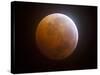 Lunar Eclipse-Stocktrek Images-Stretched Canvas