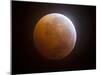 Lunar Eclipse-Stocktrek Images-Mounted Premium Photographic Print