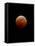 Lunar Eclipse-Alan Diaz-Framed Stretched Canvas