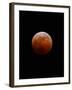 Lunar Eclipse-Alan Diaz-Framed Premium Photographic Print