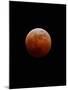 Lunar Eclipse-Alan Diaz-Mounted Premium Photographic Print