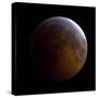 Lunar Eclipse-Stocktrek Images-Stretched Canvas