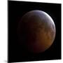 Lunar Eclipse-Stocktrek Images-Mounted Photographic Print