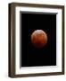 Lunar Eclipse-Alan Diaz-Framed Premium Photographic Print