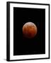 Lunar Eclipse-Alan Diaz-Framed Photographic Print